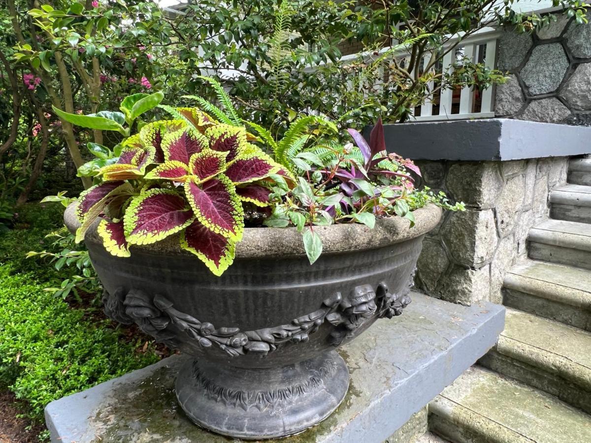 Aristocrathomestay Vancouver Bagian luar foto
