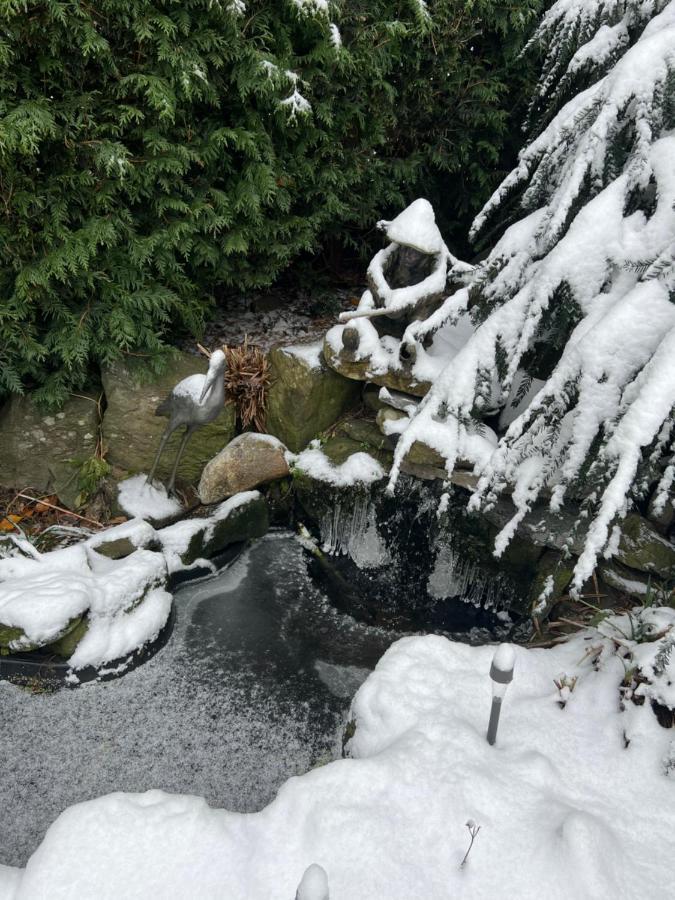 Aristocrathomestay Vancouver Bagian luar foto